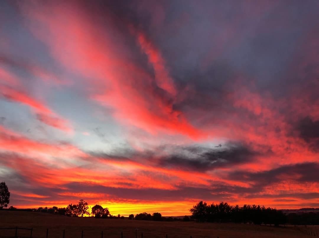 The whole sky ablaze in crimson and pink at sunset over the paddocks