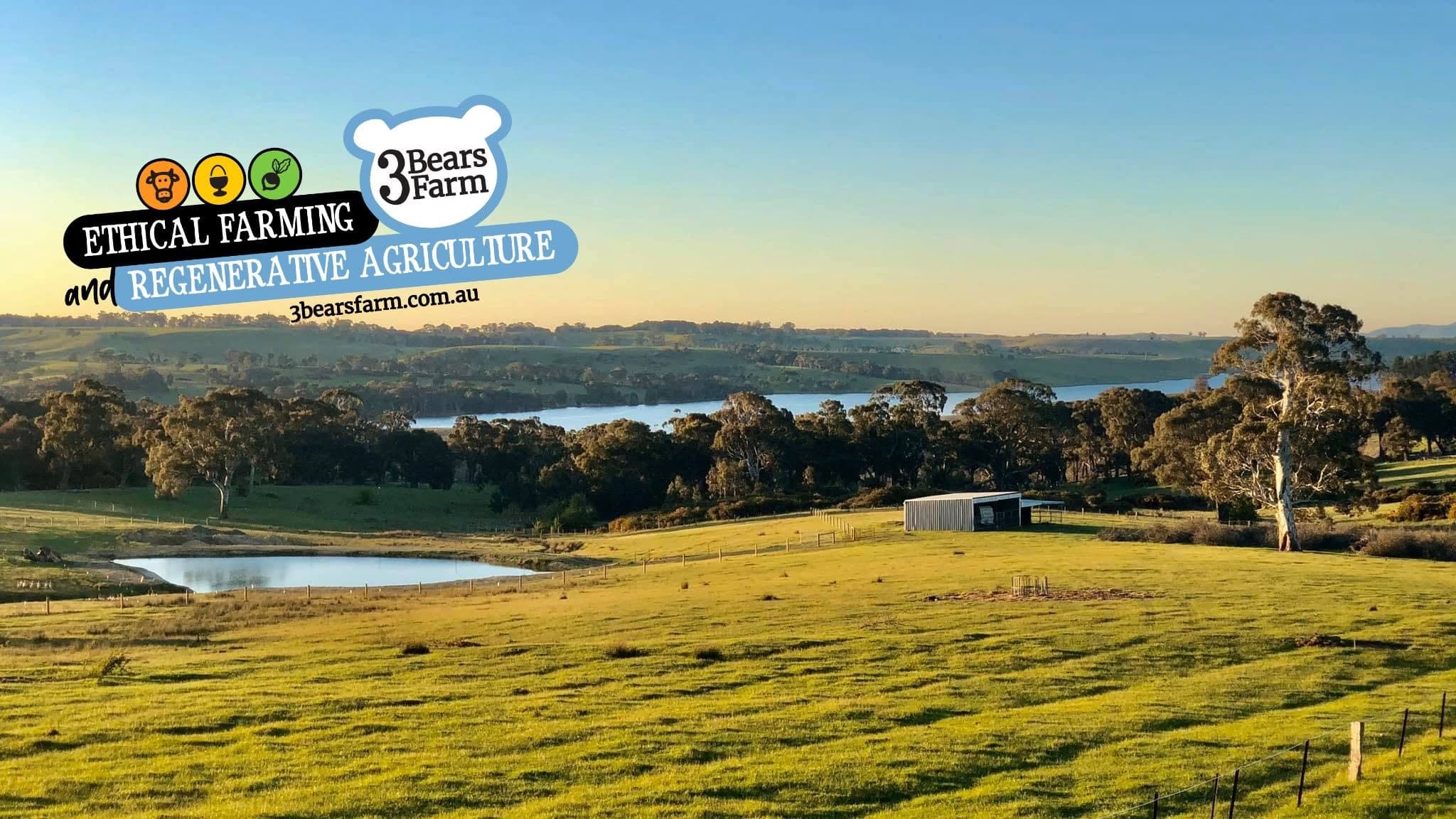 Golden-hour view across 3 Bears Farm at Tylden — green paddocks, the dam and shed, and the reservoir beyond, with the 3 Bears Farm ethical farming logo