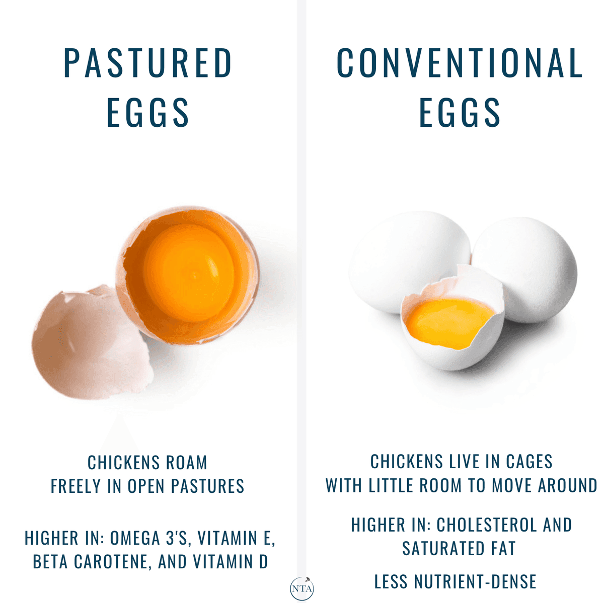 Comparison graphic: pastured eggs (chickens roam freely on open pasture; higher in omega-3s, vitamin E, beta carotene and vitamin D, with a deep-orange yolk) versus conventional eggs (caged chickens; higher in cholesterol and saturated fat, less nutrient-dense)